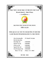 TIỂU LUẬN TỔNG QUAN các yếu tố ẢNH HƯỞNG từ đối THỦ CẠNH TRANH tới KINH DOANH của NHÀ THUỐC