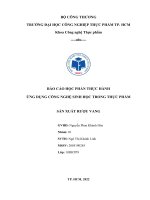BÁO CÁO HỌC PHẦN THỰC HÀNH ỨNG DỤNG CÔNG NGHỆ SINH HỌC TRONG THỰC PHẨM SẢN XUẤT RƯỢU VANG
