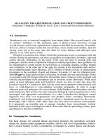 Ebook Integrated pest and disease management in greenhouse crops: Part 2