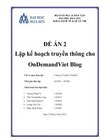 Lập kế hoạch truyền thông cho OnDemandViet Blog
