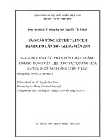 Nghiên cứu phân hủy chất kháng sinh sử dụng vật liệu xúc tác quang hóa Cu TiO2 dưới ánh sáng nhìn thấy.pdf