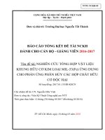 Nghiên cứu tổng hợp vật liệu khung hữu cơ kim loại MIL-53 (Fe) ứng dụng cho phản ứng phân hủy các hợp chất hữu cơ độc hại.pdf