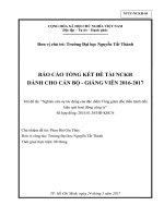 Nghiên cứu sự tác động của đặc điểm Tổng giám đốc điều hành đến hiệu quả hoạt động công ty .pdf