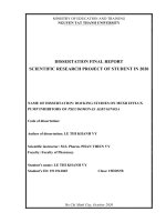 Docking studies on MexB efflux pump inhibitors of Pseudomonas aeruginosa.pdf