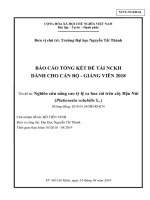 Nghiên cứu nâng cao tỷ lệ ra hoa cái trên cây Đậu Núi (Plukenetia volubilis L.).pdf
