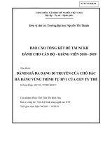 Đánh giá đa dạng di truyền của chó Bắc Hà bằng vùng trình tự HV1 của gen ty thể.pdf