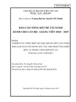 Nghiên cứu tổng hợp vật liệu khung hữu cơ lưỡng kim loại Ni-Fe ứng dụng xúc tác cho phản ứng ghép đôi C-N trong tổng hợp hữu cơ.pdf