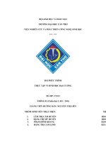 BÀI PHÚC TRÌNH THỰC tập VI SINH học đại CƯƠNG KÍNH HIỂN VI và một số THIẾT bị THƯỜNG sử DỤNG TRONG PHÒNG THÍ NGHIỆM VI SINH vật học