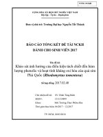 Khảo sát ảnh hưởng của điều kiện tách chiết đến hàm lượng phenolic và hoạt tính kháng oxi hóa của quả sim Phú Quốc (Rhodomyrtus tomentosa).pdf