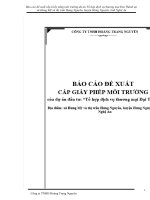 Báo cáo đề xuất cấp Giấy phép môi trường dự án Tổ hợp dịch vụ thương mại Đại Thành tại xã Hưng Mỹ và thị trấn Hưng Nguyên, huyện Hưng Nguyên, tỉnh Nghệ An