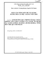 Ảnh hưởng quá trình cô đặc chân không lên chất lượng của nước ép bưởi da xanh [Citrus Maxima (Burm.Merr.)] Tỉnh Bến Tre quy mô pilot.pdf