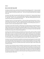 Chuẩn mực Báo cáo tài chính Quốc tế số 10 (IFRS 10) bản dịch tiếng Việt