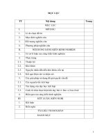 DẠY TÍCH HỢP GDCD 9