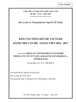 Khảo sát thành phần flavonoid trong cây cỏ cứt lợn (ageratum conyzoides l., asteraceae).pdf