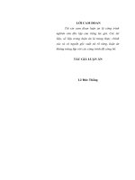 Đảng bộ tỉnh Thanh Hóa lãnh đạo chống hai cuộc chiến tranh phá hoại của đế quốc Mỹ (1965  1968 và 1972  1973).