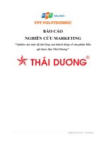 Nghiên cứu marketing  Nghiên cứu mức độ hài lòng của khách hàng về sản phẩm Dầu gội dược liệu Thái Dương