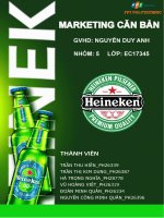 PHÂN TÍCH MÔI TRƯỜNG MARKETING CỦA  DOANH NGHIỆP HEINEKEN