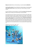 Kim phun nhiên liệu động cơ máy dầu Diesel.pdf