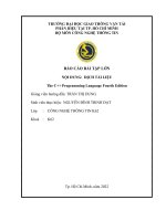 BÁO CÁO BÀI TẬP LỚN NỘI DUNG DỊCH TÀI LIỆU The C++ Programming Language Fourth Edition