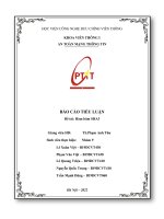 BÁO CÁO TIỂU LUẬN Đề tài Hàm băm SHA3