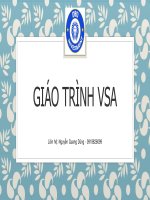 GIÁO TRÌNH VSA  Quang Dung DBD