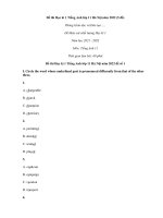 Bài tập tiếng anh lớp 11 học kì 1 có đáp án