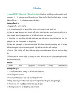 sbt tieng anh 7 trang 13 14 unit 2 reading ket noi tri thuc