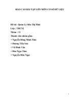 BÁO cáo bài tập lớn môn cơ sở dữ LIỆU đề tài  quản lý siêu thị mini