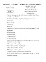 Đề thi học kì 2 vật lí lớp 12 năm 2022 có ma trận (10 đề)