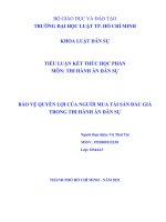 Bảo-vệ-quyền-lợi-của-người-mua-tài-sản-đấu-giá-trong-thi-hành-án-dân-sự.docx