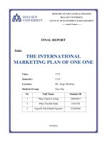 FINAL REPORT topic THE INTERNATIONAL MARKETING PLAN OF ONE ONE