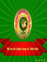 rung chuông vàng, ôn luyện kiến thức học kì I lớp 2