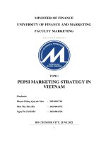 KHÓA LUẬN MARKETING  Pepsi marketing strategy in vietnam