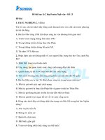 Đề thi giữa kỳ môn ngữ văn trường Đề thi học kì 2 lớp 8 môn ngữ văn vndoc com