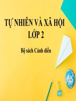 TNXH lớp 2. Tiết 18. Bài 7. An toàn khi ở trường