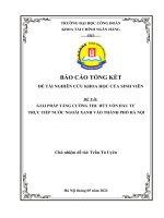 GIẢI PHÁP TĂNG CƯỜNG THU hút FDI XANH vào TP  hà nội