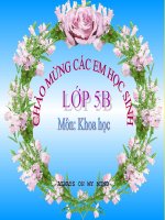 khoa học lớp 5 - Khám phá Xã hội - Trần Thị Thiểu - Thư viện Bài giảng điện tử