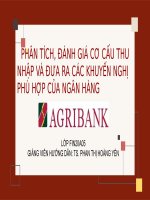 Slide thuyết trình phân tích đánh giá cơ cấu thu nhập của ngân hàng Agribank