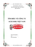 TÌM HIỂU VỀ CÔNG TY ACECOOK VIỆT NAM