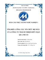 TÌM HIỂU CÔNG TÁC TỔ CHỨC BỘ MÁY CỦA CÔNG TY TRÁCH NHIỆM HỮU HẠN QUA MI CO