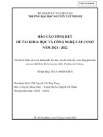 Khảo sát sơ bộ thành phần hóa thực vật, độc tính cấp và tác động giảm đau của cao chiết lá Sa kê Artocarpus altilis(Pakinson) Fosberg.pdf
