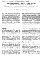 XÁC ĐỊNH THÀNH PHẦN HÓA HỌC CỦA THÂN RỄ NGHỆ ĐEN CHAMPASAK - LÀO VÀ GIA LAI - VIỆT NAM