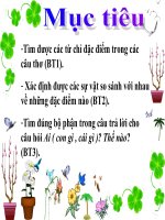 luyen tu va cau 3 - Bài giảng khác - Lê Thị Alit - Thư viện Bài giảng điện tử
