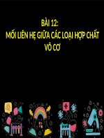 BÀI 12:     MỐI LIÊN HỆ GIỮA CÁC LOẠI HỢP CHẤT VÔ CƠ