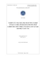 Nghiên cứu than hóa phụ phẩm nông nghiệp (vỏ hạt cà phê, lõi bắp) bằng phương pháp carbon hóa thủy nhiệt, ứng dụng làm vật liệu hấp phụ và xúc tác.