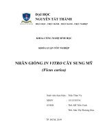 Nhân giống in vitro cây Sung Mỹ (Ficus carica).pdf