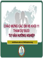 Tư vấn hướng nghiệp K.11
