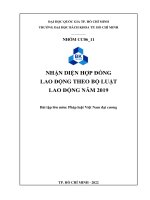 Bài tập lớn môn pháp luật việt nam đại cương NHẬN DIỆN hợp ĐỒNG LAO ĐỘNG THEO bộ LUẬT LAO ĐỘNG năm 2019