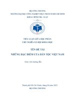 NHỮNG ĐẶC ĐIỂM CỦA DÂN TỘC VIỆT NAM