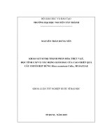 Khảo sát sơ bộ thành phần hóa thực vật, độc tính cấp và tác động giảm đau của cao chiết quả cây chuối hột rừng Musa acuminata Colla., Musaceae.pdf